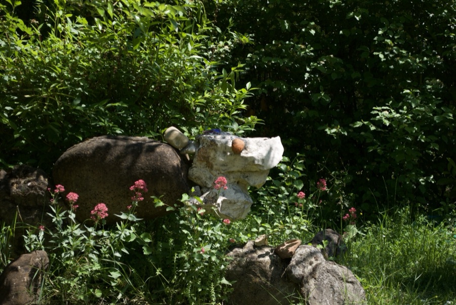 Testa di drago di sasso circondata da fiori rosa, con cartello DRAGO sul masso