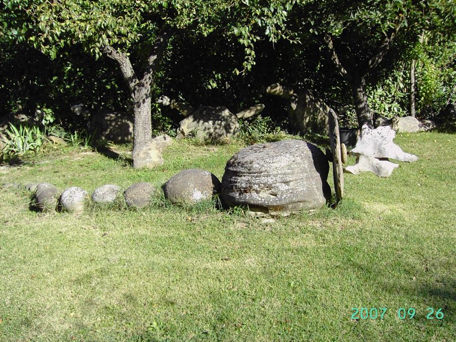 Sequenza di pietre disposte in fila a formare una coda o una corazza, tra gli alberi del giardino
