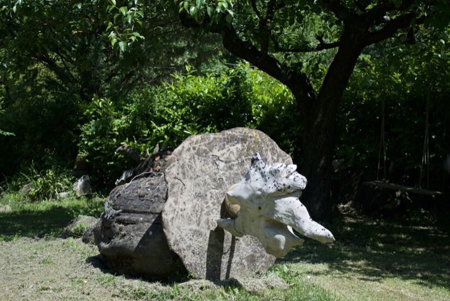 Grande scultura di pietra a forma di teschio di triceratopo, con corno bianco